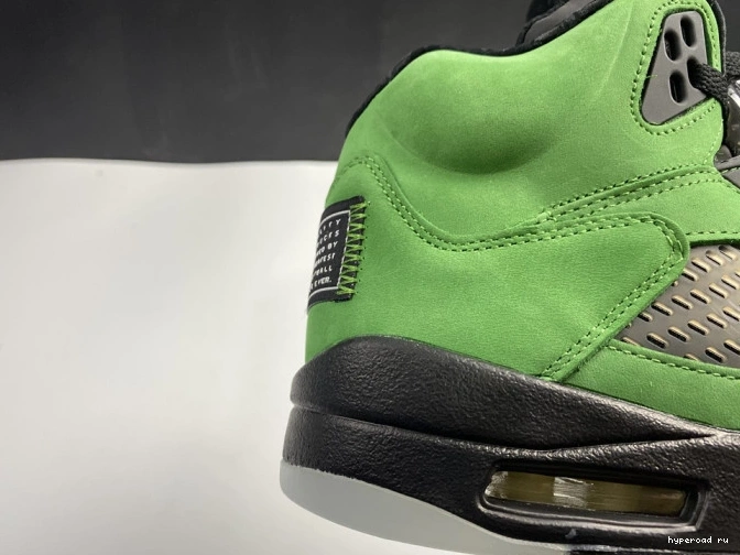 Oregon 5 SE CK6631-307 Air Jordan Ducks 1018